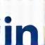 LinkedIn Icon